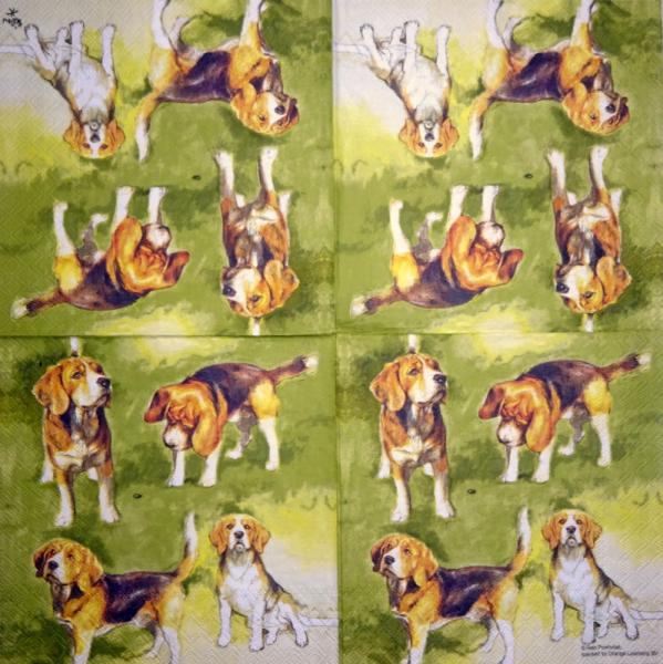 HUN-513 Hunde - 3-lagig - Ambiente
